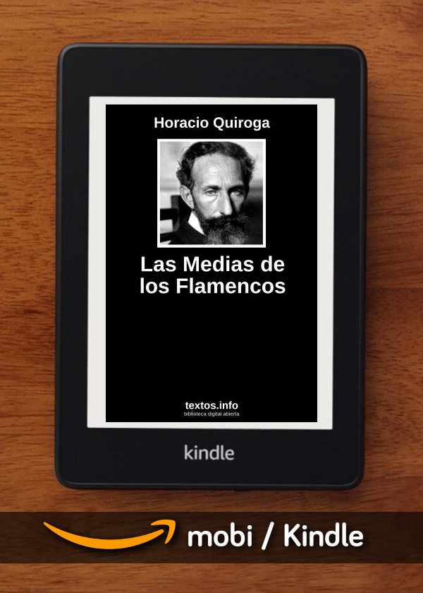 Las Medias de los Flamencos