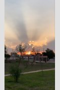 Gracias México, de Bárbara M Abate P
