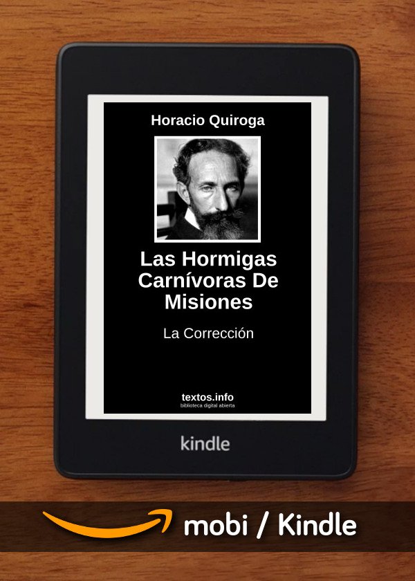 Las Hormigas Carnívoras De Misiones