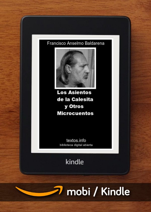Los Asientos de la Calesita y Otros Microcuentos