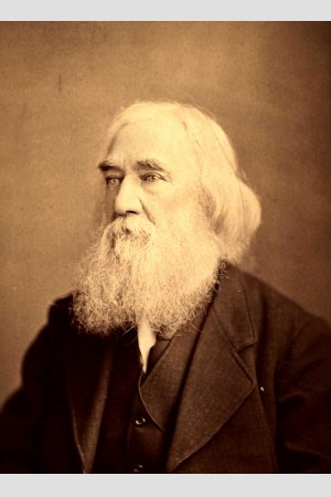 Los vicios no son delitos:Una reivindicación de la libertad moralEscrito en 1875, de Lysander Spooner